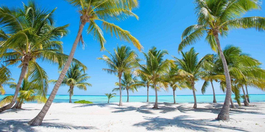 Visit The Best Beaches Of Punta Cana Catalonia Hotels Resorts Blog