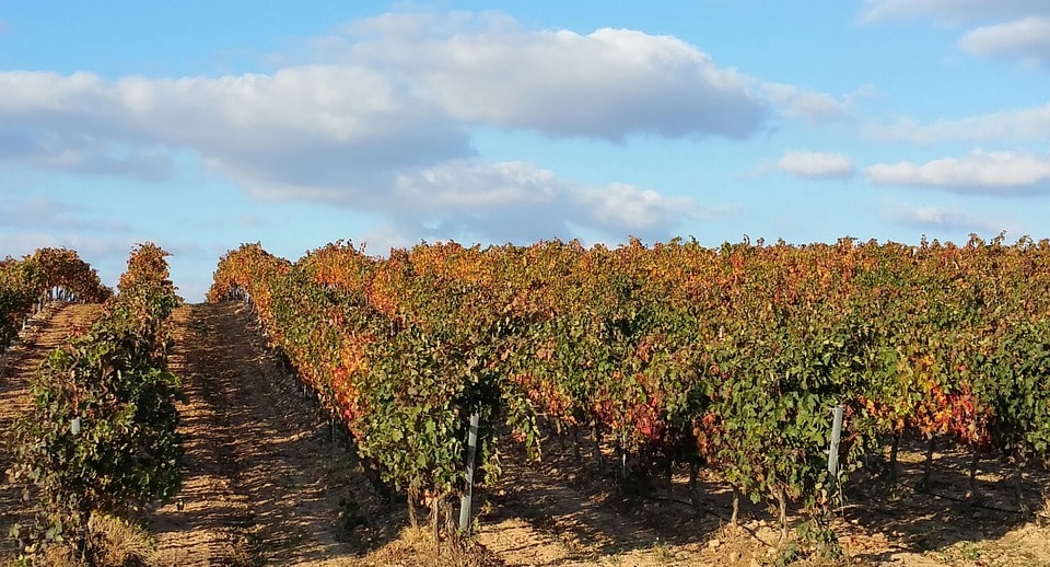 La Rioja