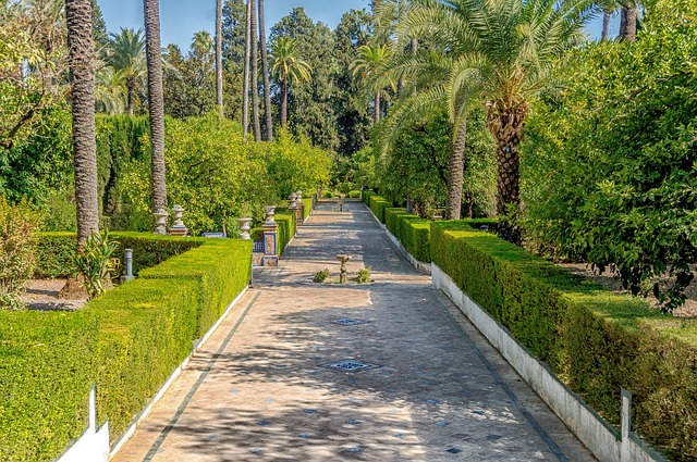 Spring in Seville