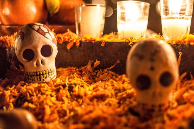 Day of the Dead Altars