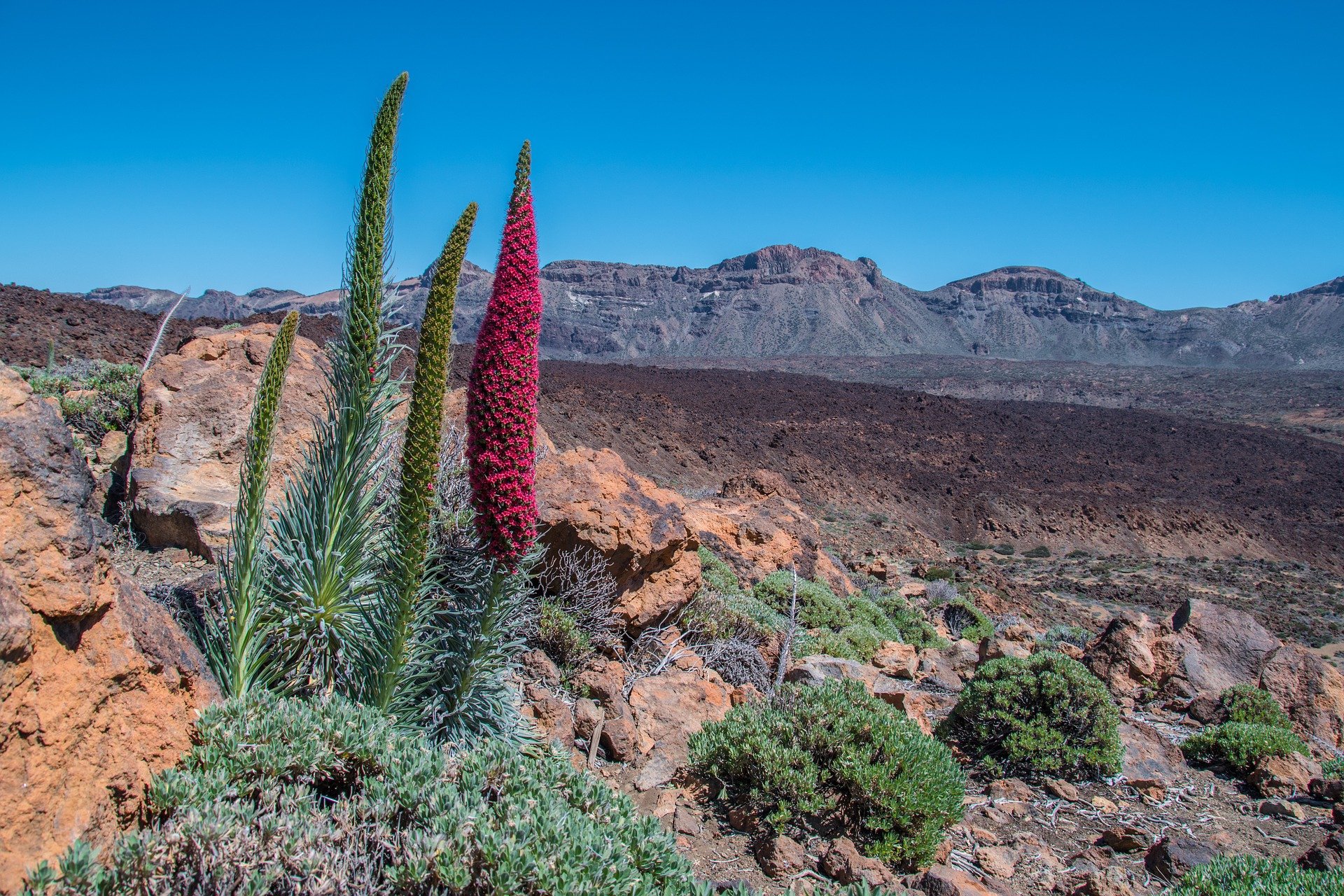 Volcanic landscape on Teide