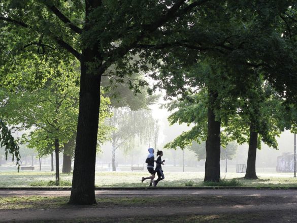 People jogging through the park