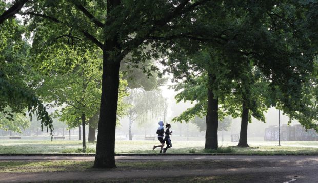 People jogging through the park