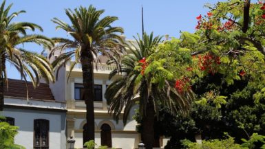 Santa Cruz, the capital of Tenerife