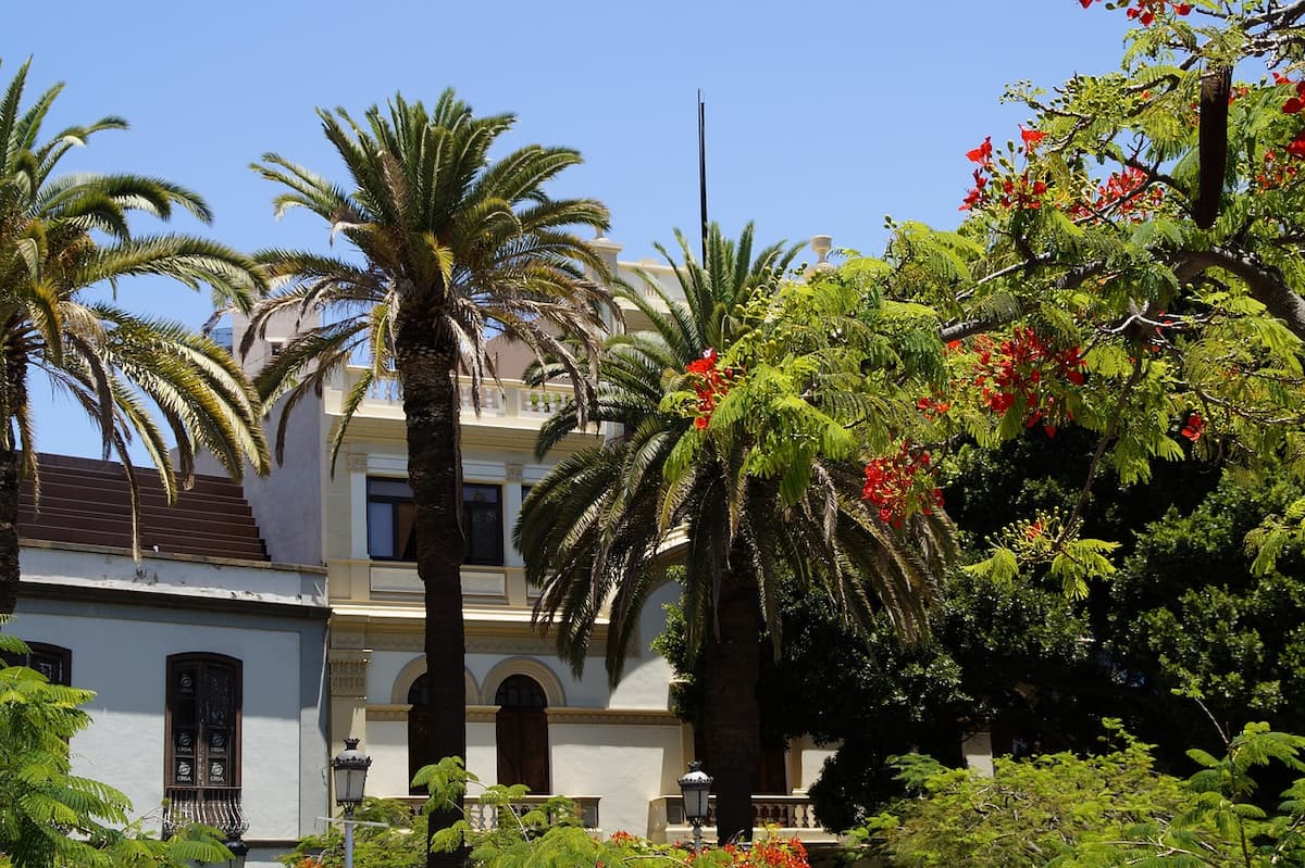 Santa Cruz, the capital of Tenerife