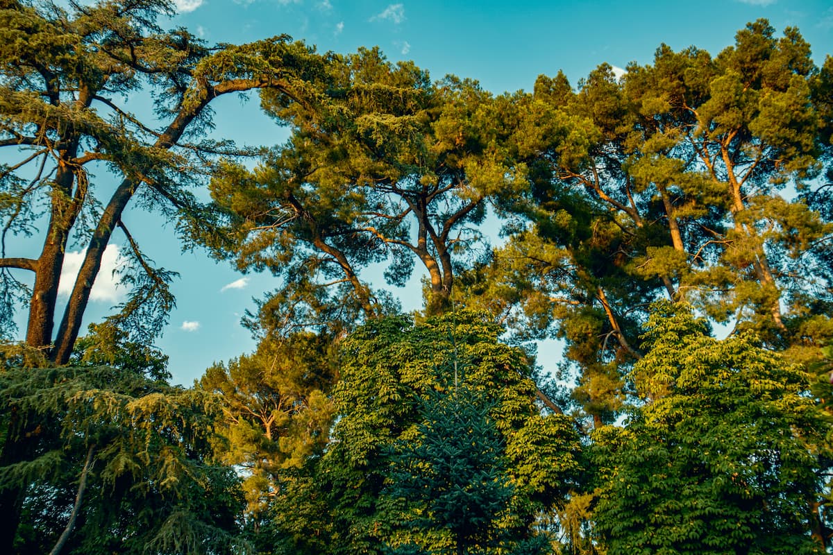 Retiro Park - One of Madrid's largest and liveliest parks