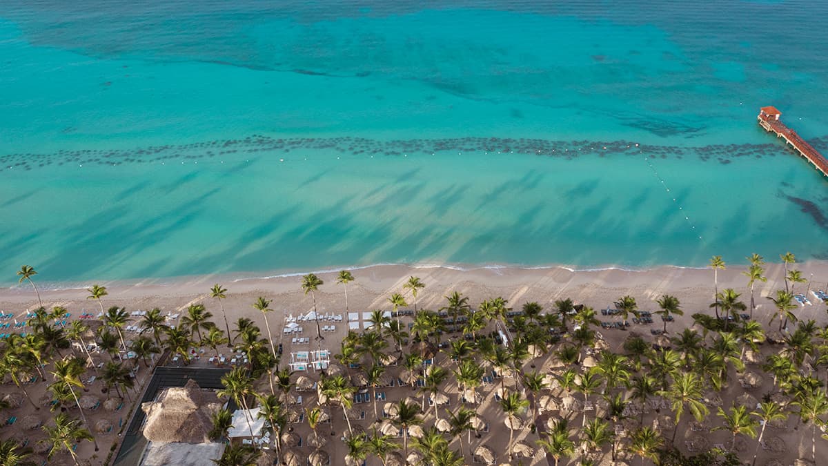 aerial view shore beach