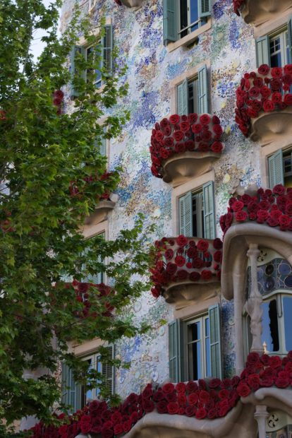 Casa BatllÃ³ in Barcelona