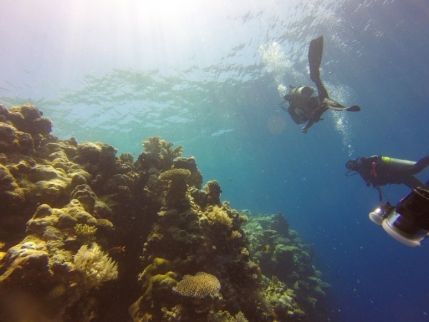 mejores sitios submarinismo caribe