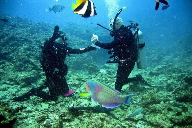 sitios buceo en el caribe