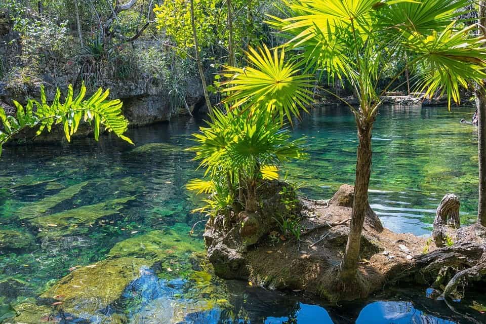 cenote Riviera Maya