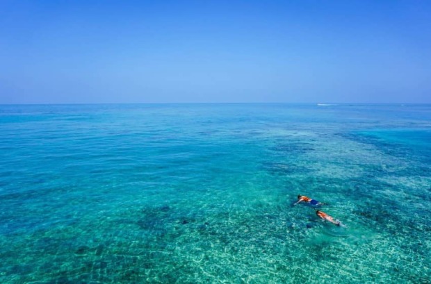 snorkel en el caribe