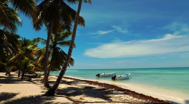 Excursion isla Saona