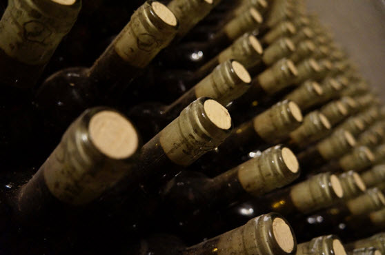 botellas de vino en bodega de la Rioja