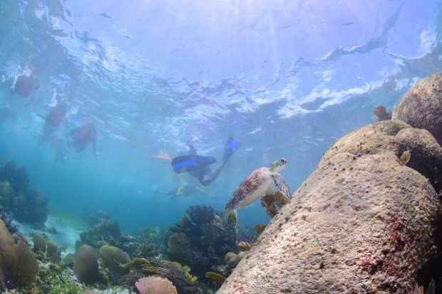 Snorkel en la Riviera Maya