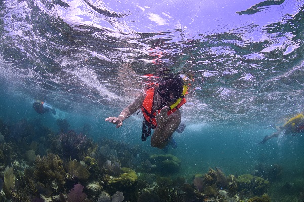 Snorkel en la Riviera Maya