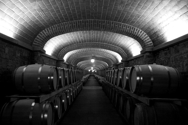 las mejores bodegas de oporto