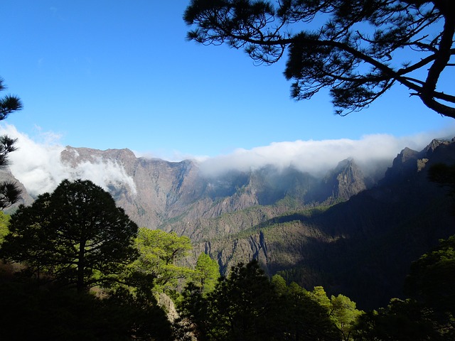 como ir de tenerife a la palma