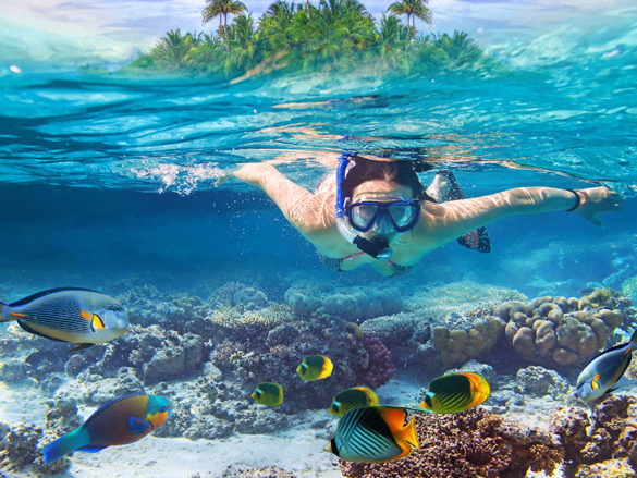 Snorkel: en toda la Riviera Maya puedes maravillarte con el mundo subacuático, la diversidad de peces es increíble y más de una foto te vas a querer tomar