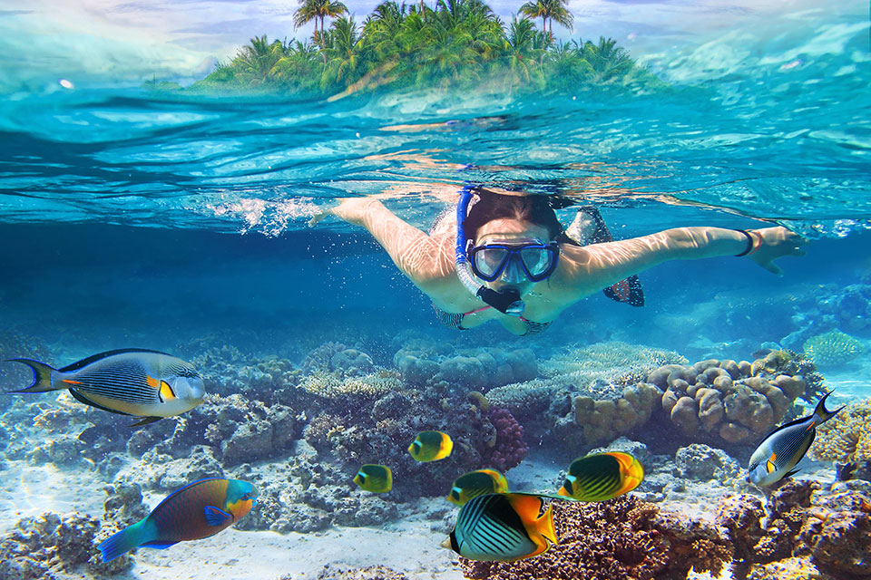 Snorkel: en toda la Riviera Maya puedes maravillarte con el mundo subacuático, la diversidad de peces es increíble y más de una foto te vas a querer tomar