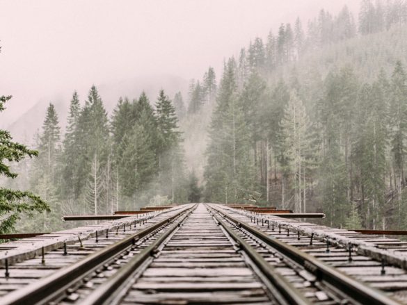 Vías del tren y naturaleza