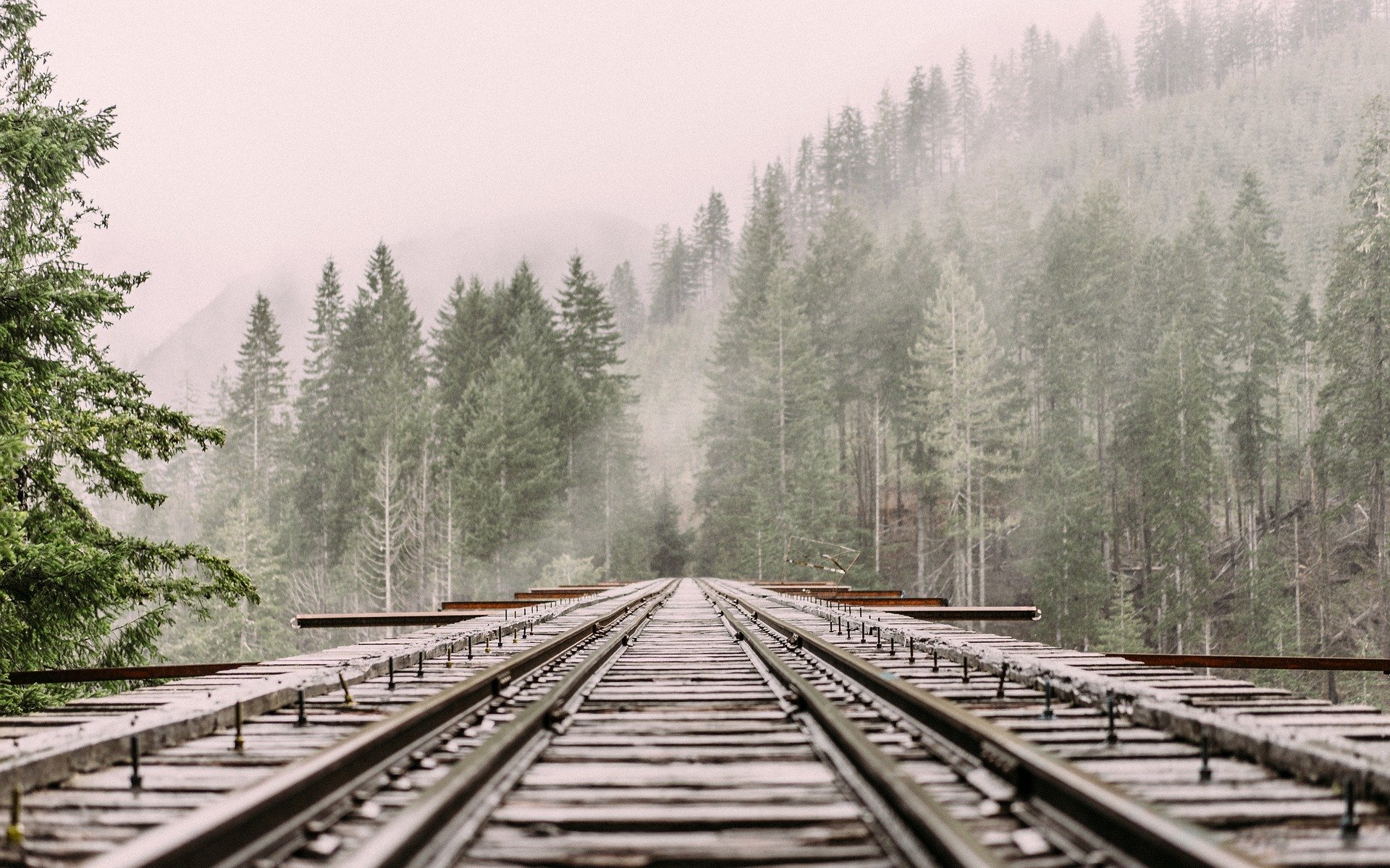 Vías del tren y naturaleza