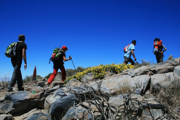 Senderistas subiendo al Teide.