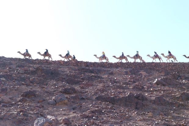 Turistas montando en camello