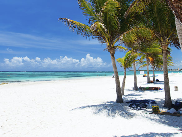 PLAYA AKUMAL, SANTUARIO DE LAS TORTUGAS.