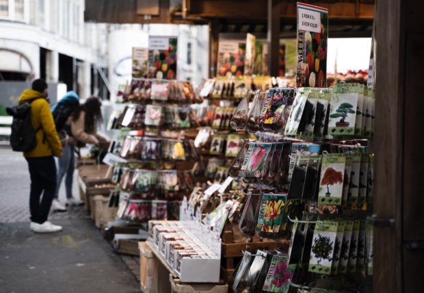 Mercado de Bloemen