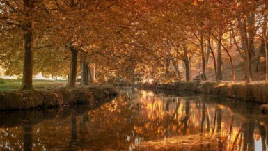 Bosque en otoño