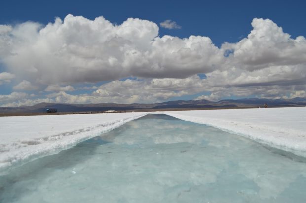 lodos de las charcas de las salinas