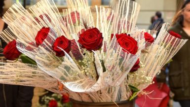 Rosas para Sant Jordi