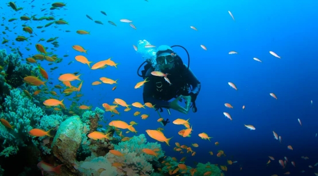 actividades buceo punta cana