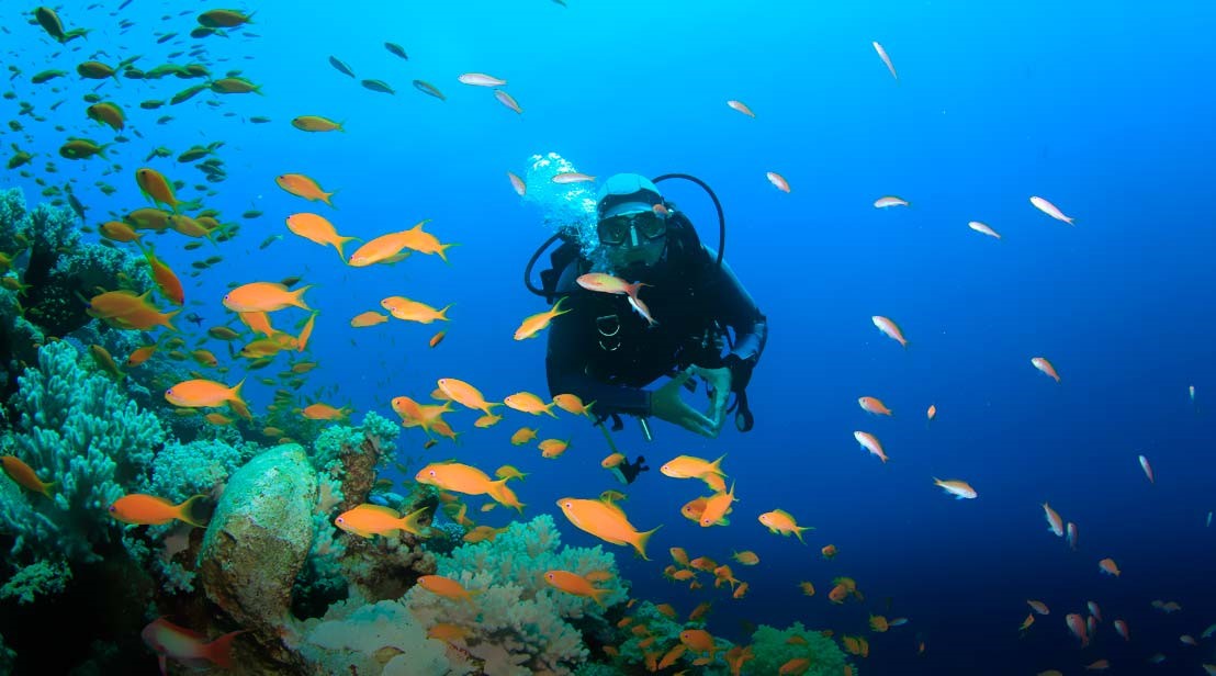 actividades buceo punta cana