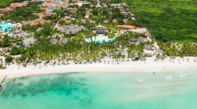 cataloniagrandominicus-featturtles2