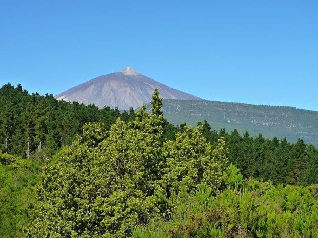 guia para visitar el teide