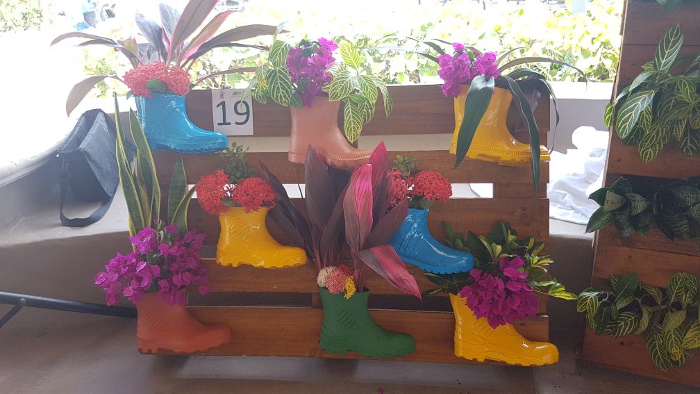 Catalonia Playa Maroma emprende en pro del medioambiente