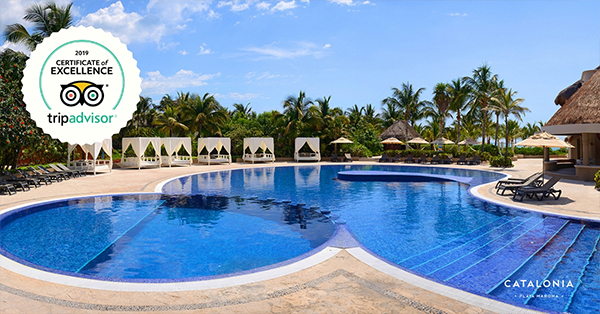 Certificado de Excelencia TripAdvisor 2019