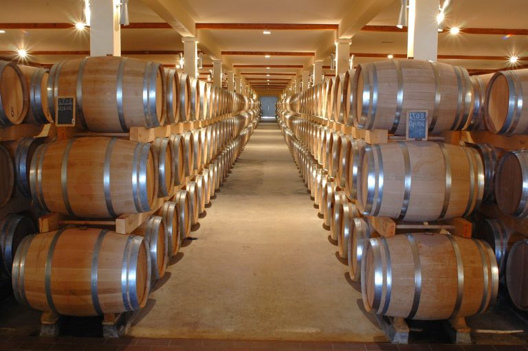 Bodegas de Oporto