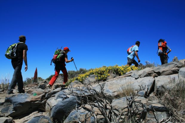 Senderistas subiendo al Teide.