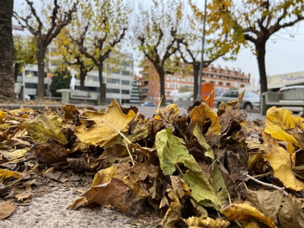 Sant Andreu de la Barca