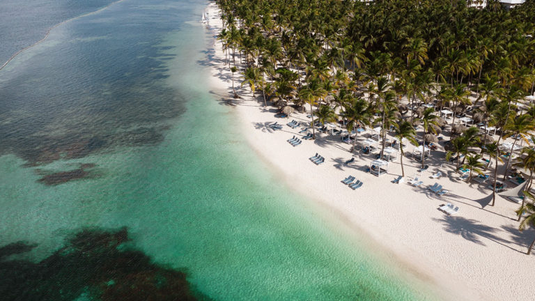 costa-dominicana-palmera