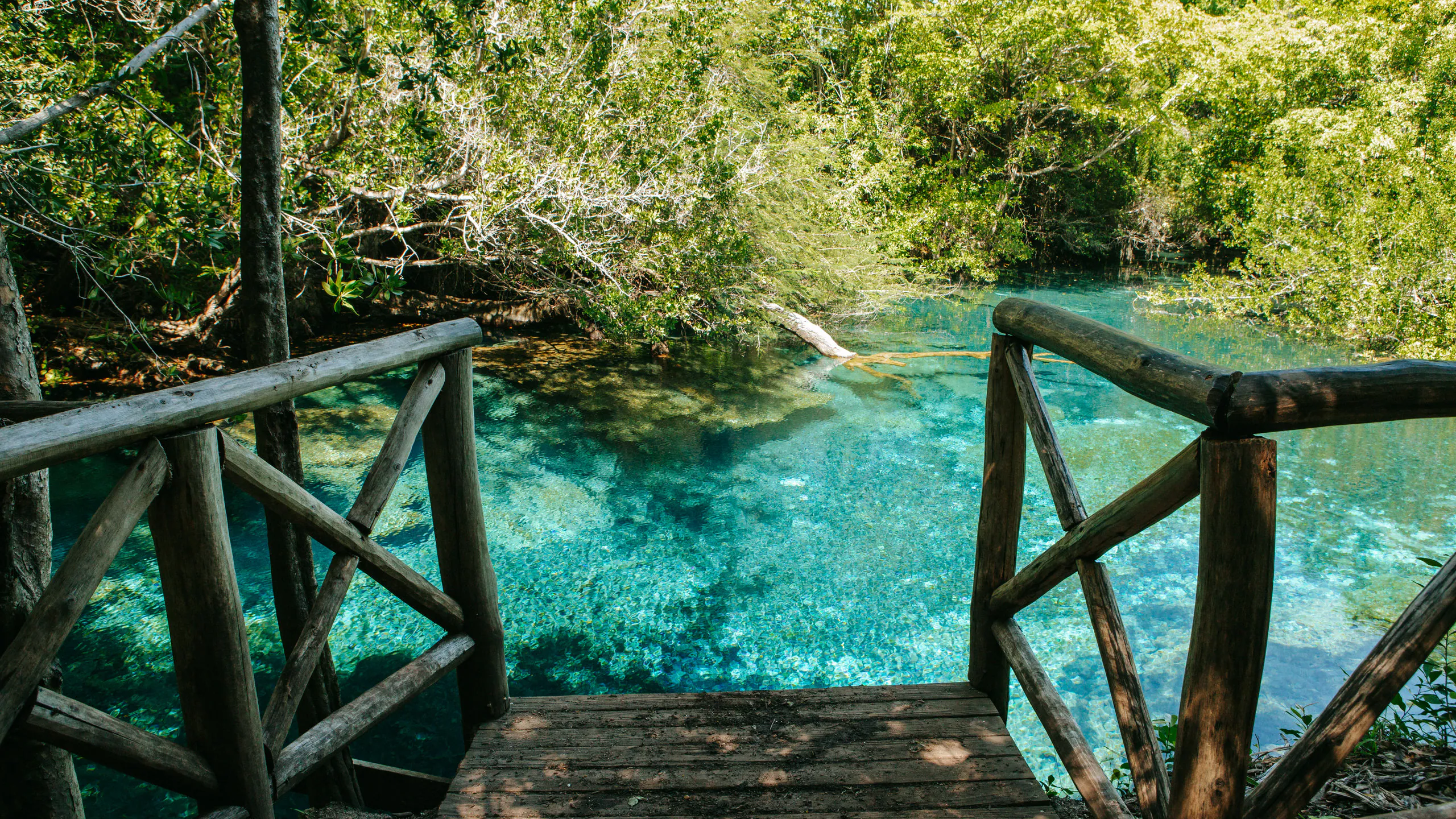 Dominican Republic 10 tips for your first visit