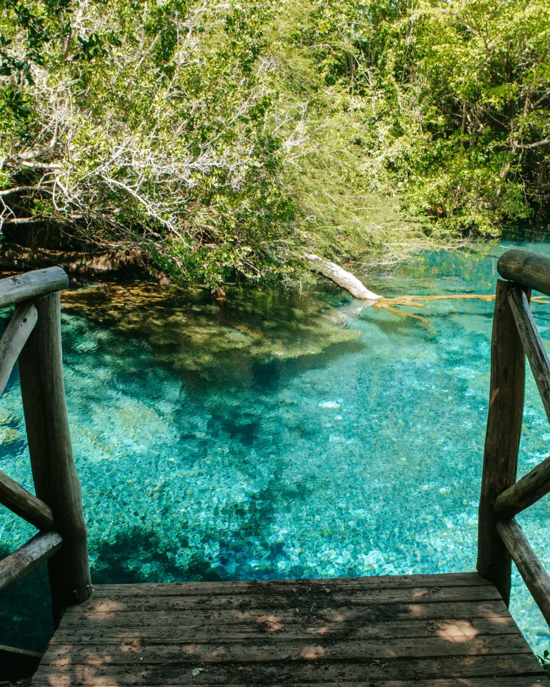 542255-dominican-republic