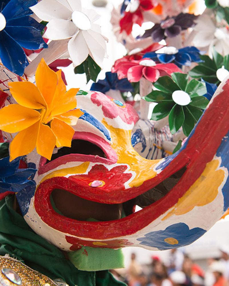 Guía Practica del Carnaval de Santo Domingo