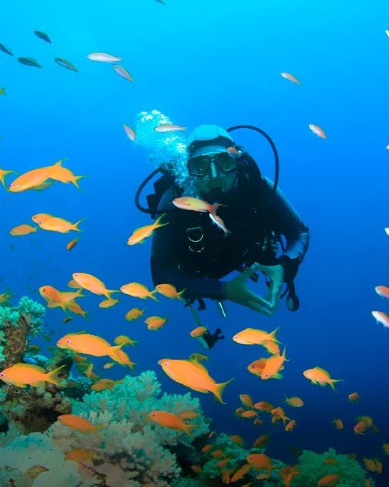 actividades buceo punta cana