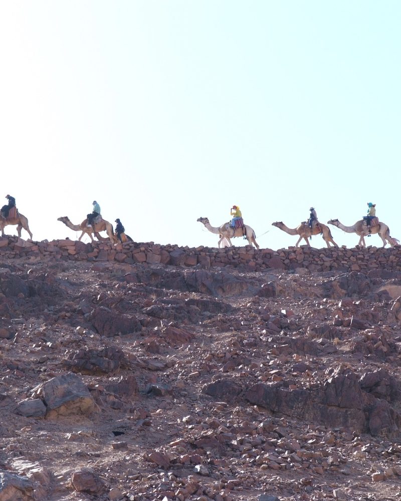 Turistas montando en camello