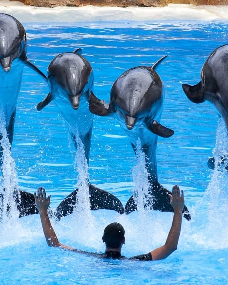 canary-islands-for-families