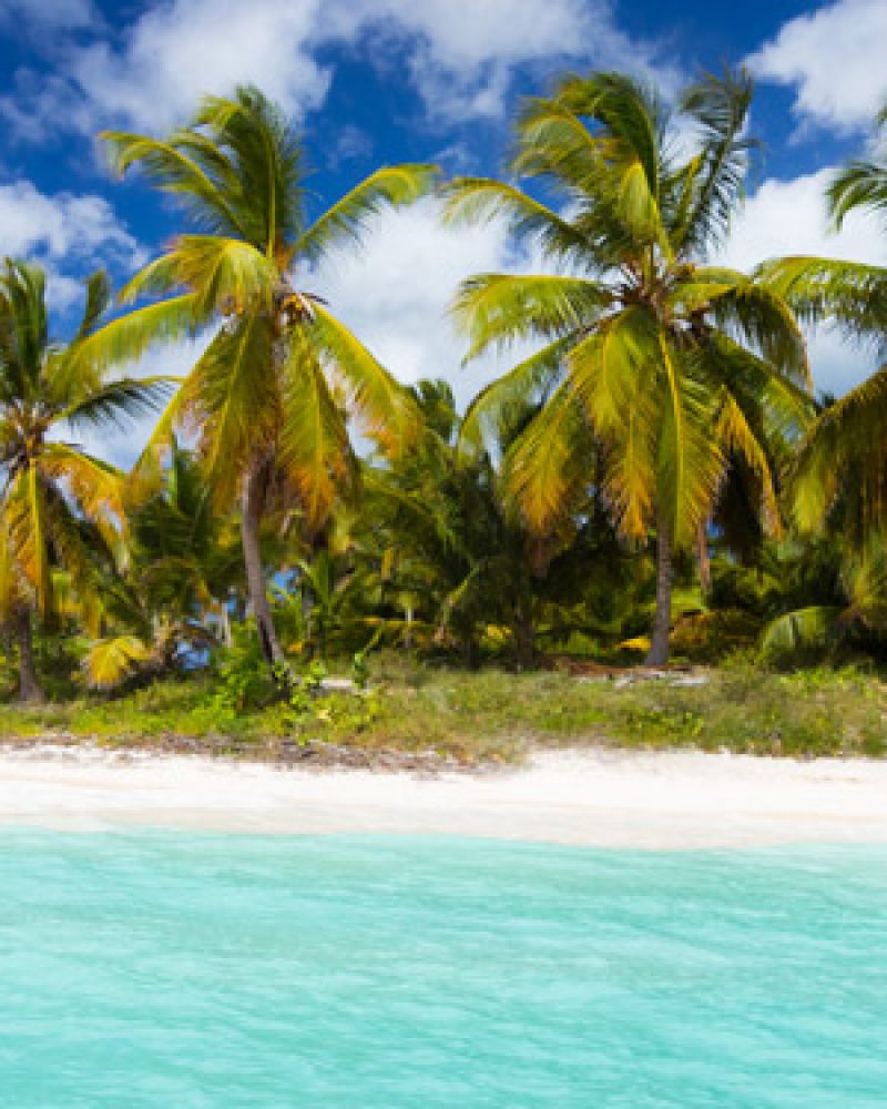 playaspuntacana-feat1